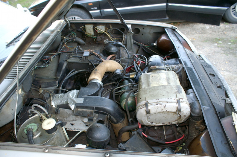 GS Brk2.JPG